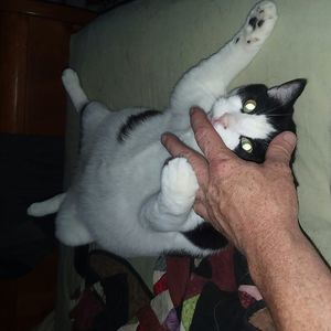 Meet your Posher, Brian d